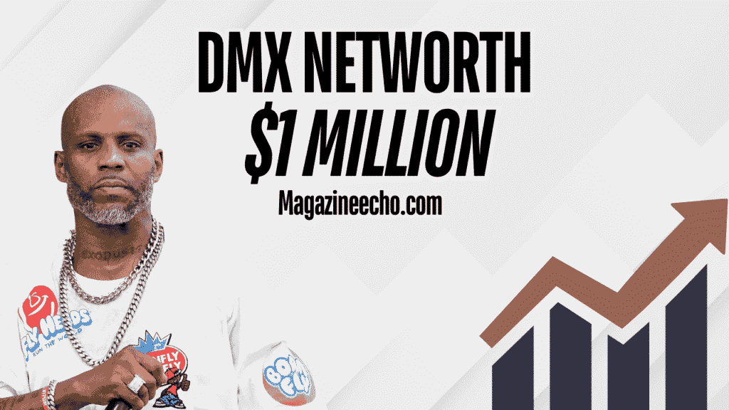 dmx networth